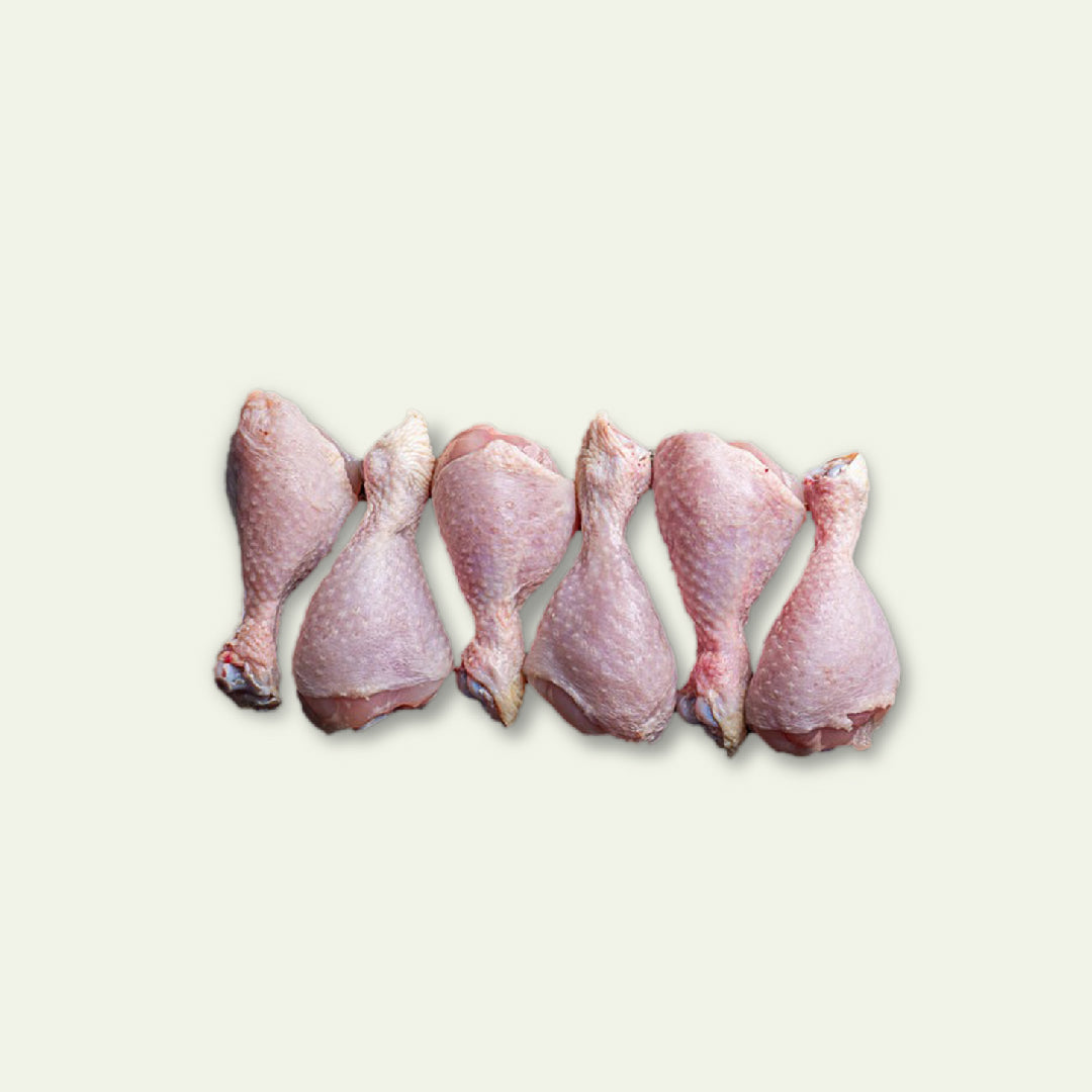 Fresh Chicken Drumstick